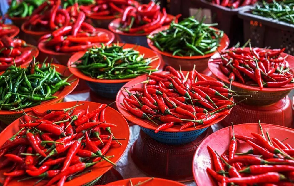 Types of Chilis
