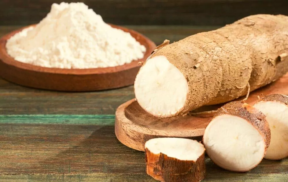 What Is Tapioca