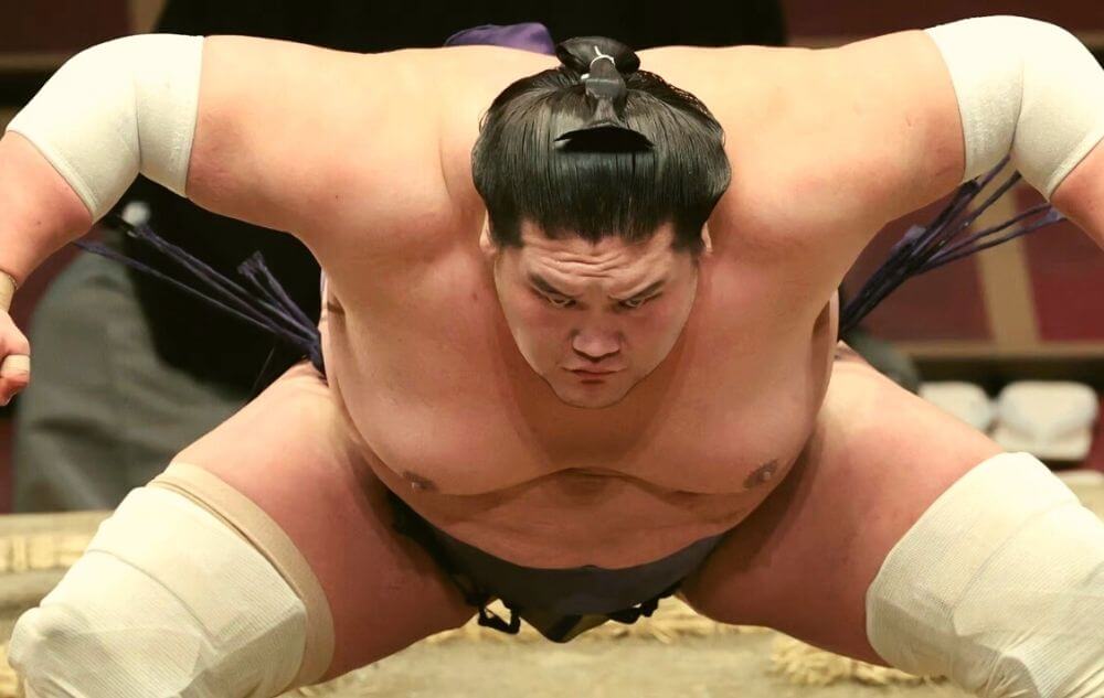 are sumo wrestlers strong