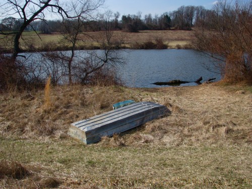 A Walk By The Pond, Books, & Mom’s Apple Crisp