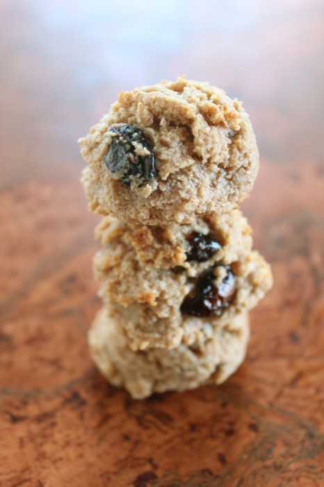Almond & Dried Cranberry Cookie Bites (gluten-free, paleo, & vegan)
