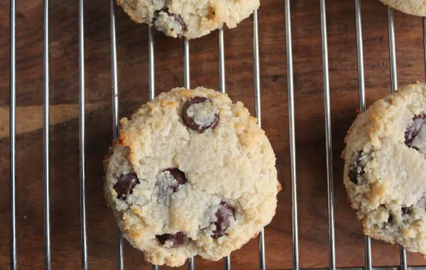 Chocolate Chip, Coconut, & Almond Flour Cookies {Paleo}