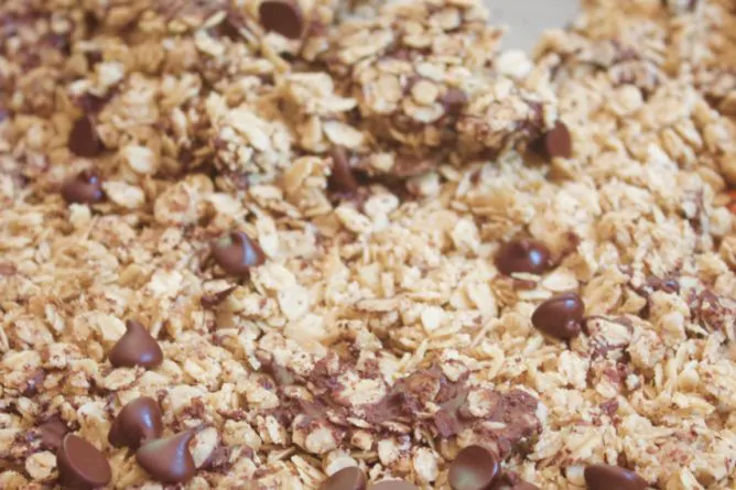 Chocolate Chip Cookie Dessert Granola