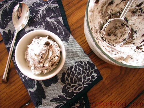 Cookies & Cream Frozen Yogurt