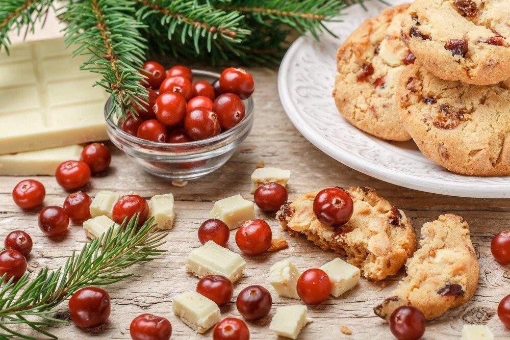 Cranberry & White Chocolate Chip Oaties