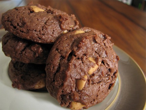 Flourless Dark Chocolate Peanut Butter Cookies