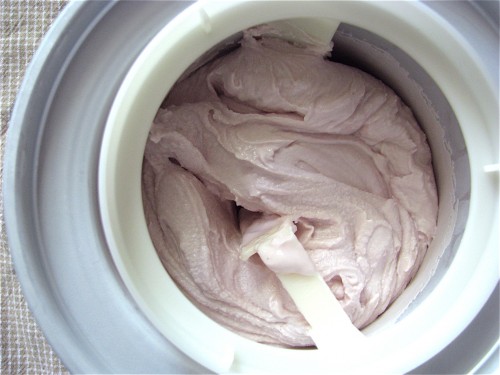 Tart Pomegranate Frozen Yogurt