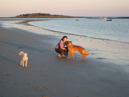 Monday Musings + Creamy Stovetop Pumpkin Mac & Cheese (Kid-Friendly) Monday Musings + Creamy Stovetop Pumpkin Mac & Cheese (Kid-Friendly)