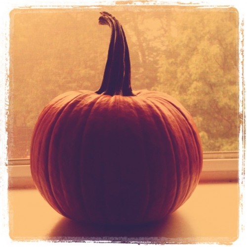 Monday Musings Monday Musings