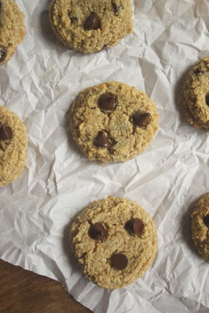 Paleo Pumpkin Chocolate Chip Cookies Paleo Pumpkin Chocolate Chip Cookies