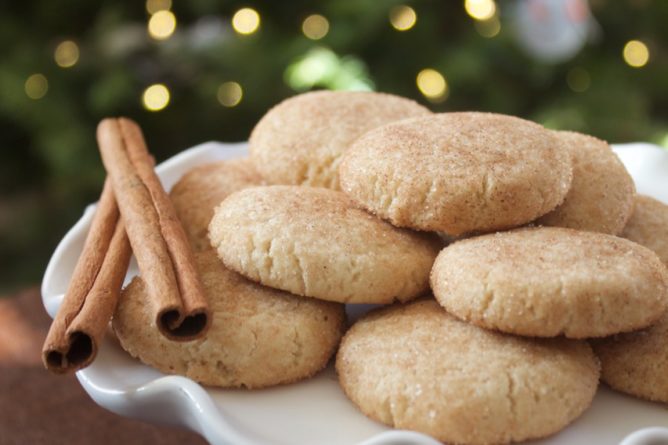 Paleo & Vegan Snickerdoodles