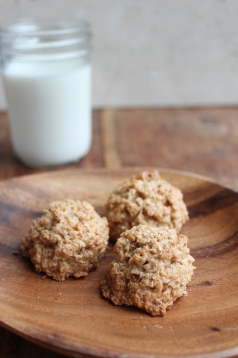Peanut Butter Coconut-Oat Macaroons Peanut Butter Coconut-Oat Macaroons