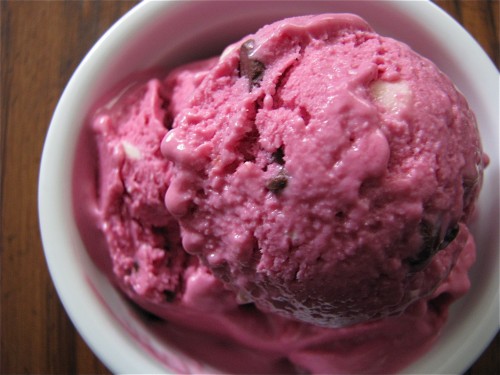 Purple Cow Frozen Yogurt