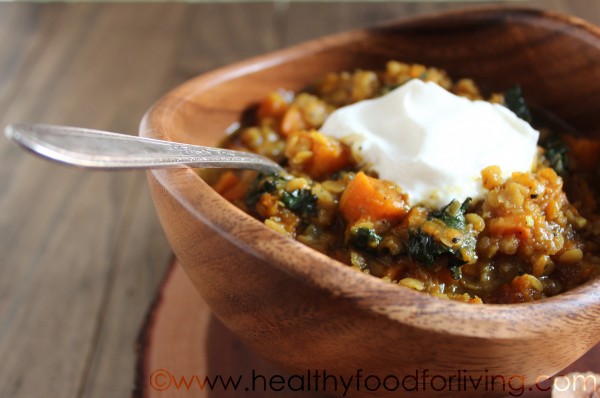 Red Lentil and Butternut Squash Curry Stew Red Lentil and Butternut Squash Curry Stew