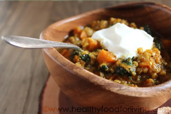 Red Lentil and Butternut Squash Curry Stew