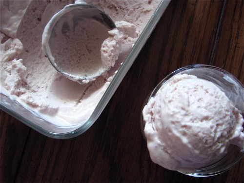 Tart Pomegranate Frozen Yogurt Tart Pomegranate Frozen Yogurt