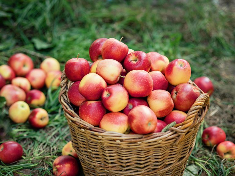 Are Apples Acidic and Good for Acid Reflux? [pH-wise]