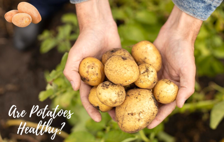 Are Potatoes Healthy? – Everything You Need to Know