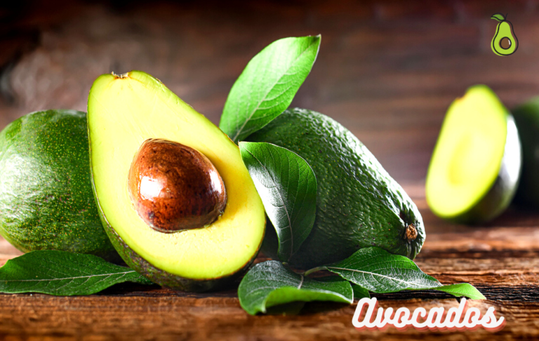 Are Avocados Healthy?- All You Need to Know About Avocados