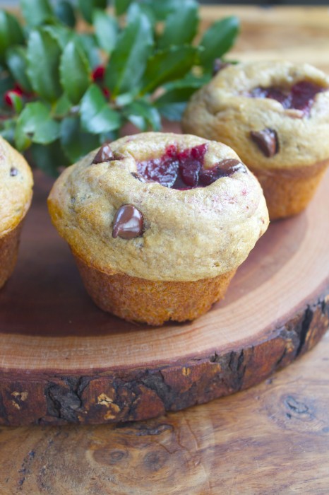Chocolate Chip Cranberry Yogurt Muffins {Thanksgiving Leftovers Series}