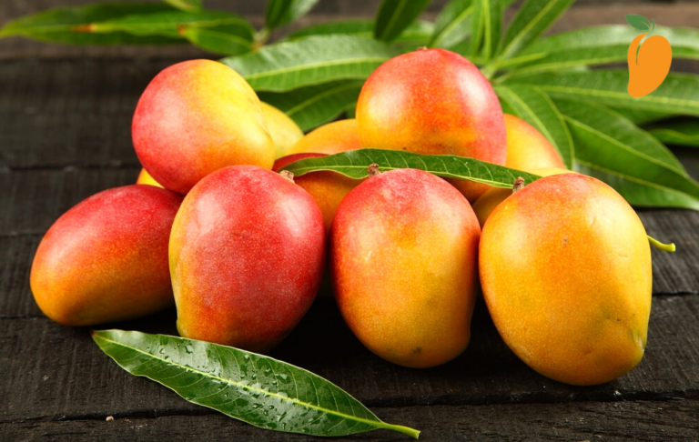 Are Mangoes Healthy? – All You Need to Know About Mangoes