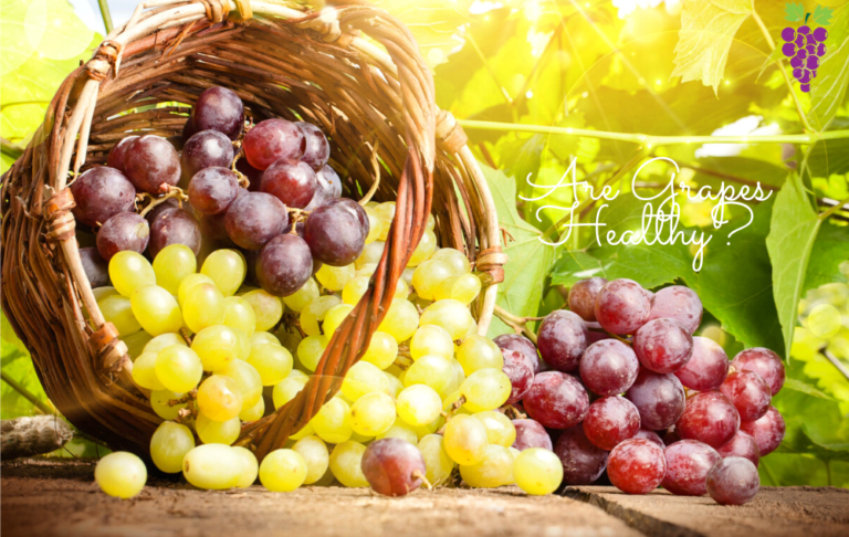 Are Grapes Healthy?