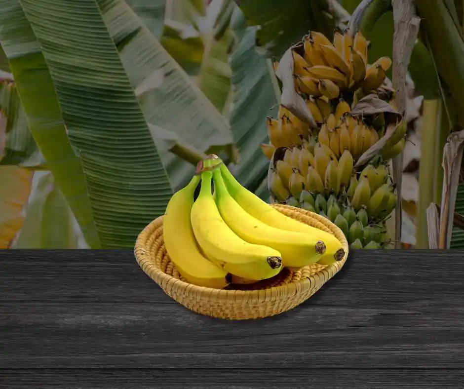 Are Bananas Acidic