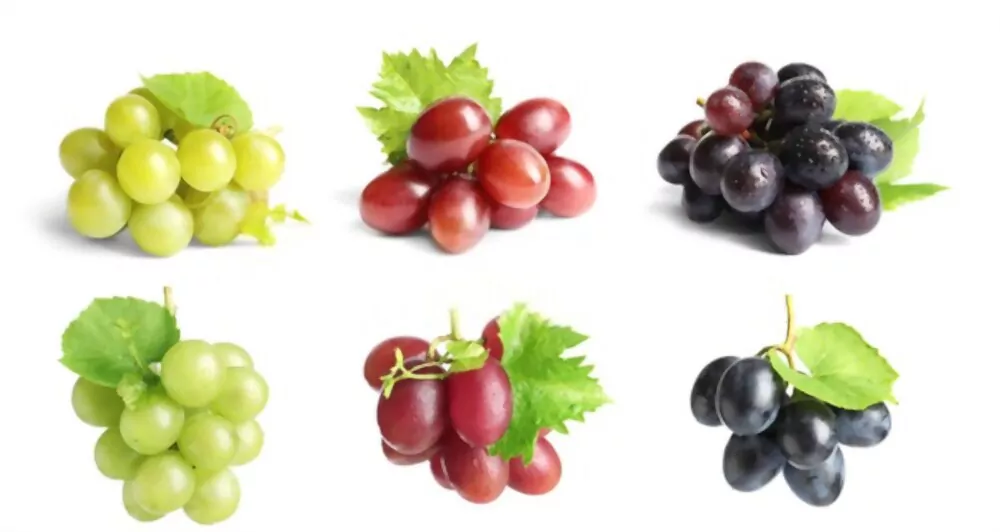 Are Grapes Acidic Or Alkaline?