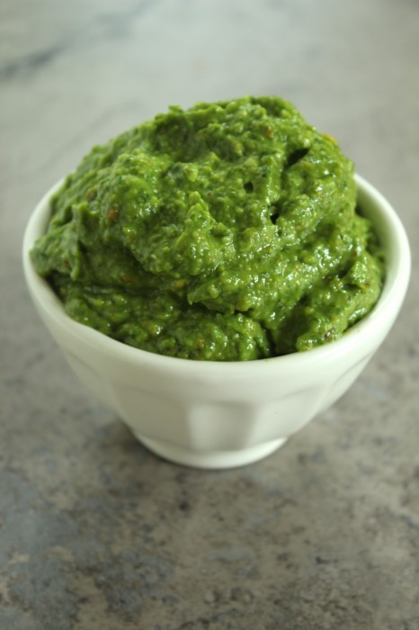 Creamy Avocado, Cilantro, & Pistachio Pesto
