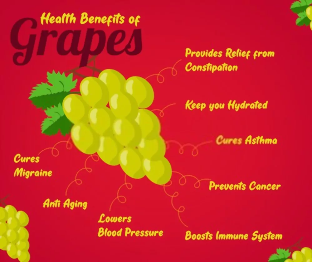 benefits of grapes