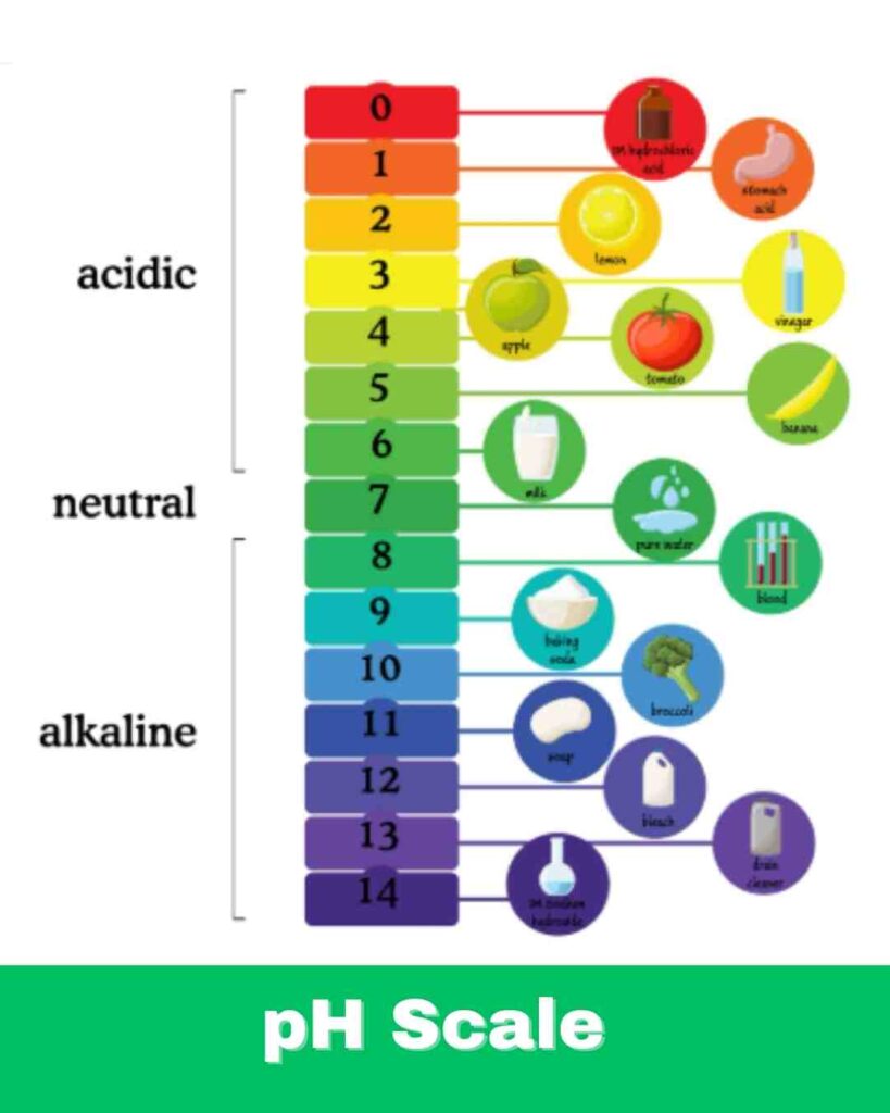 pH scale of fruits