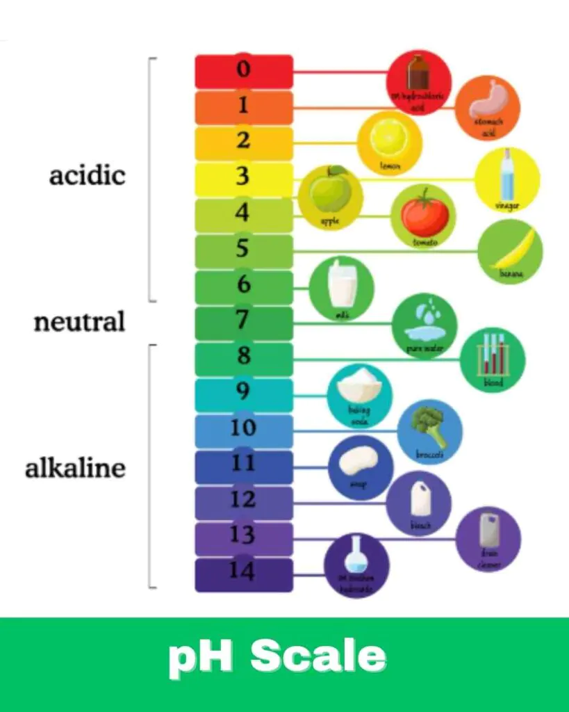 pH scale of fruits