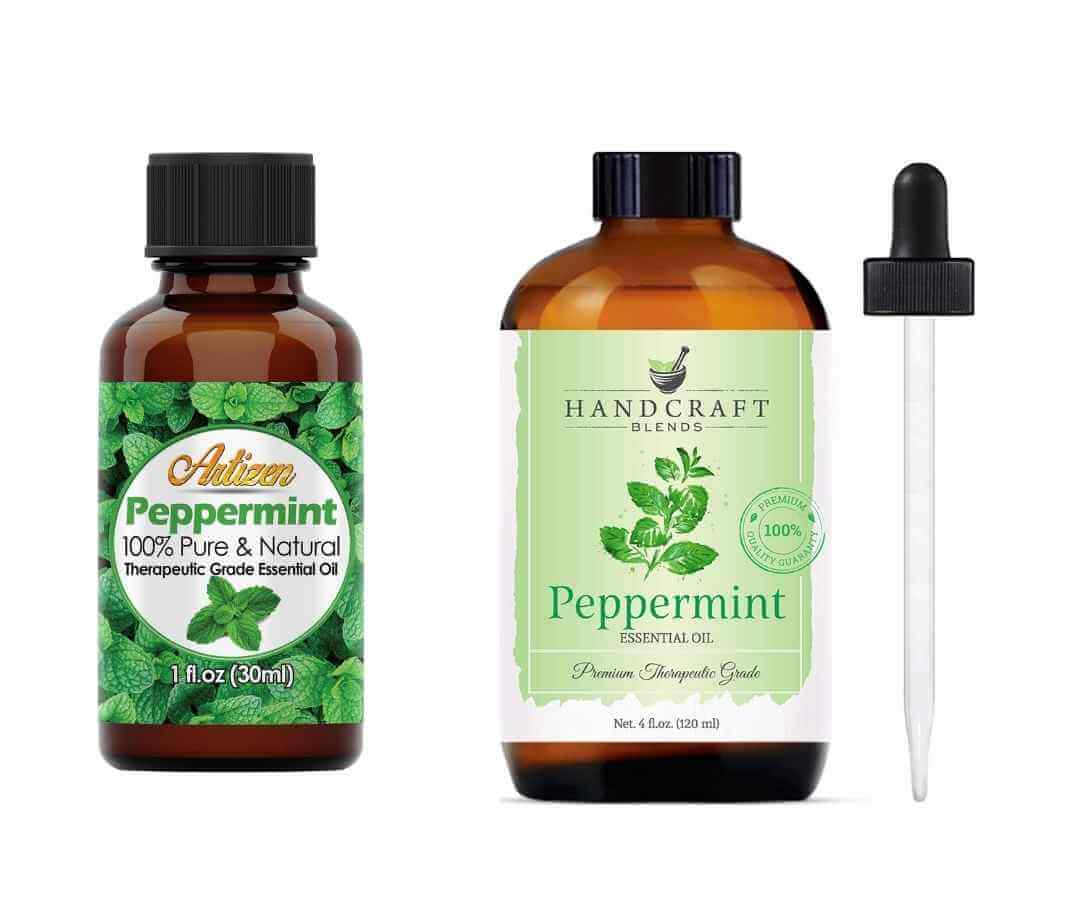 Is Peppermint Good for Acid Reflux (Does it Really Help)