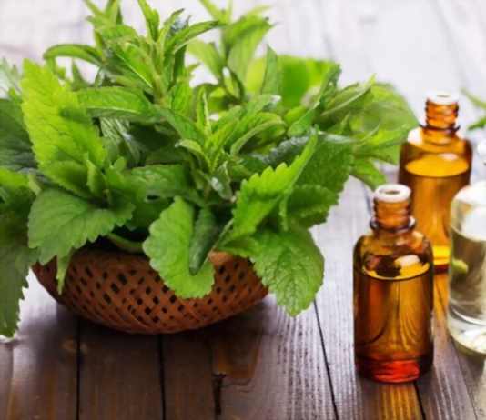 Is Peppermint Good for Acid Reflux (Does it Really Help)