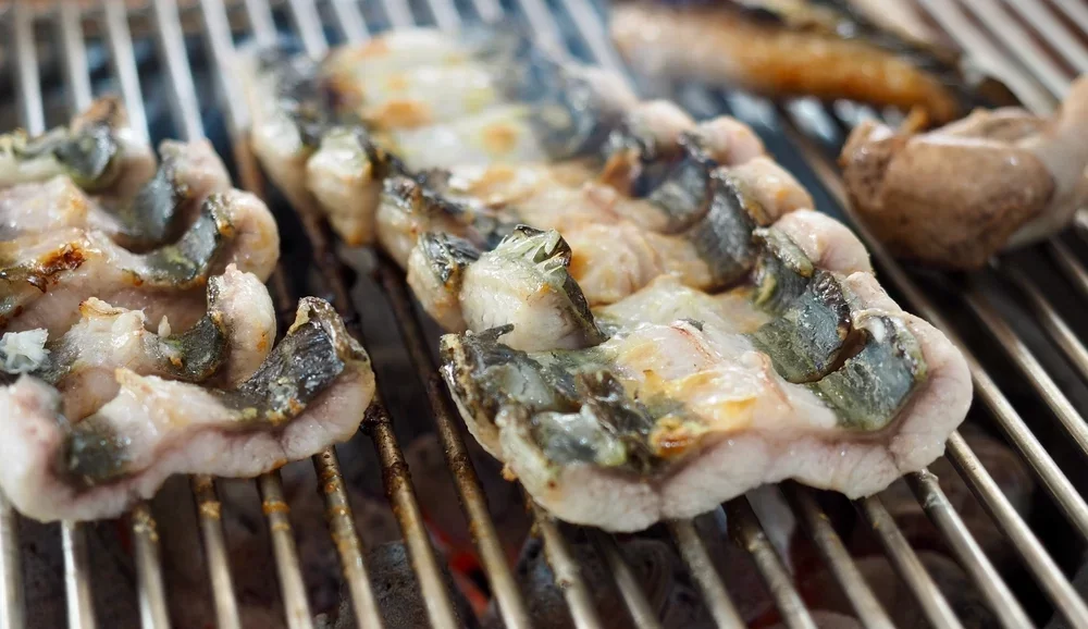 Can You Eat Eel and How Does It Taste