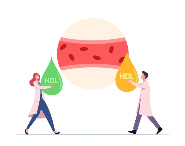 HDL and LDL illustration.