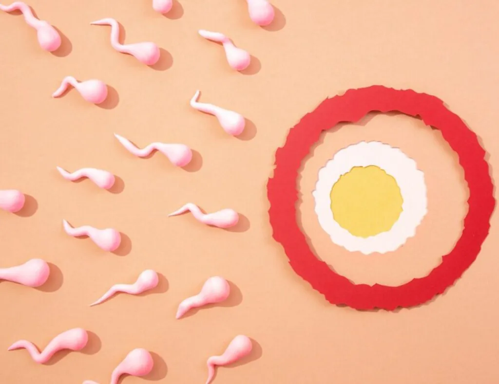 The Science Behind Sperm and Skin Care