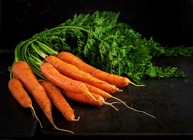 carrots with black background