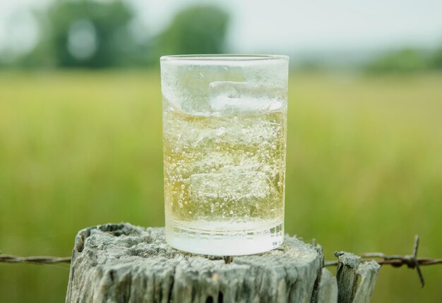 Is Sparkling Water Healthy? A Comprehensive Guide