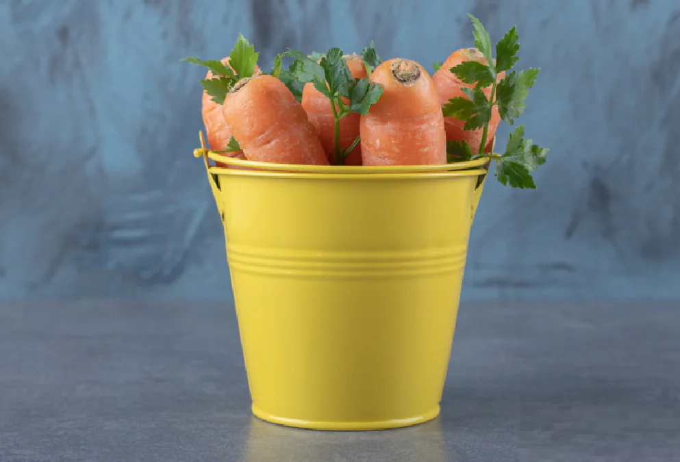 Carrots Storage