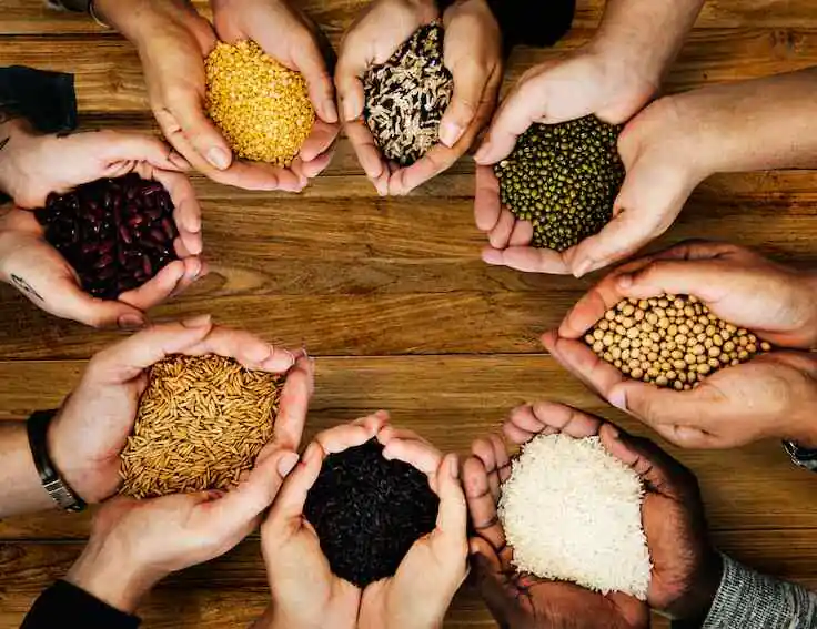 Public Opinion on Jollof Rice Health