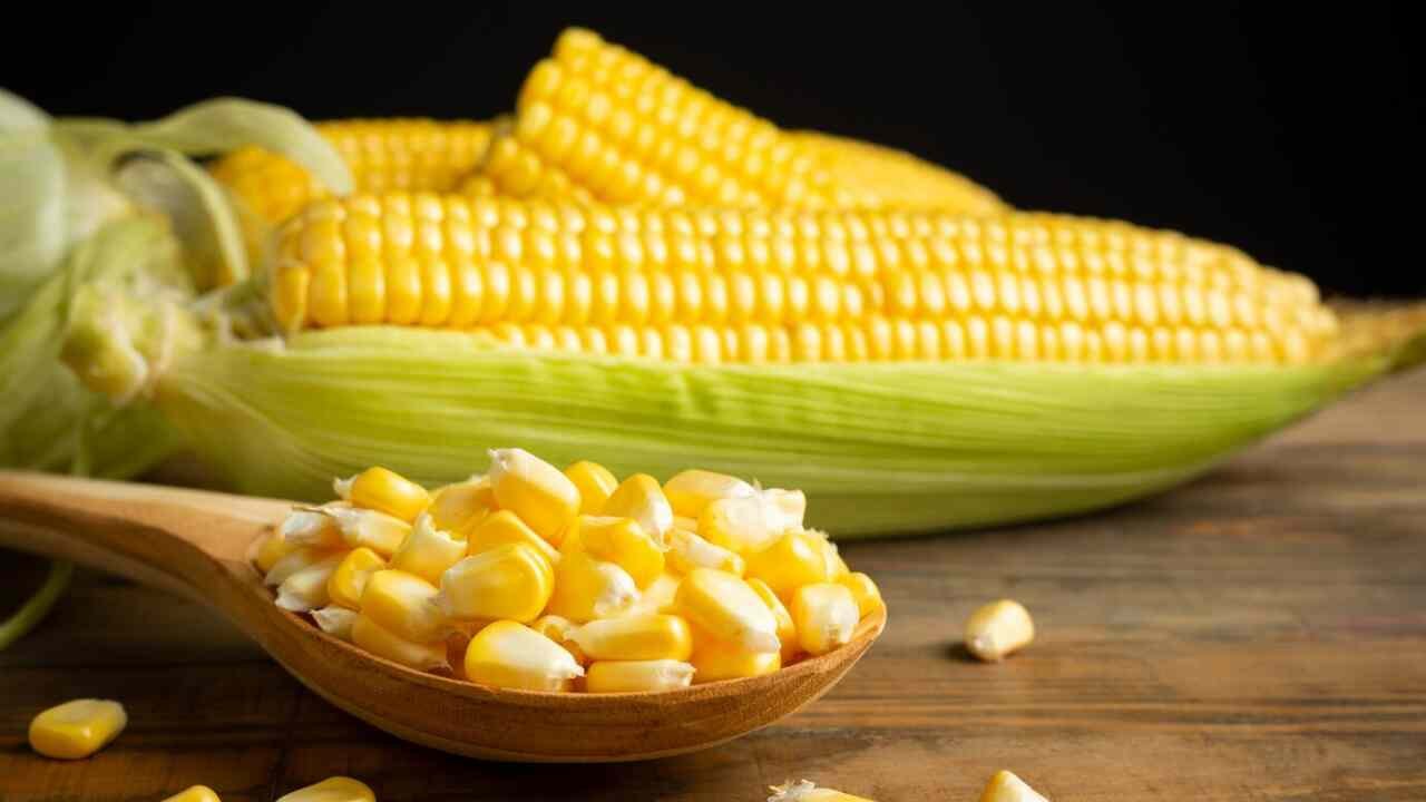 Is Cornstarch Gluten-Free