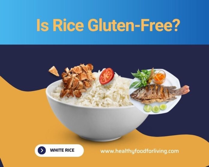 Is Rice Gluten Free? The Ultimate Gluten-Free Food List