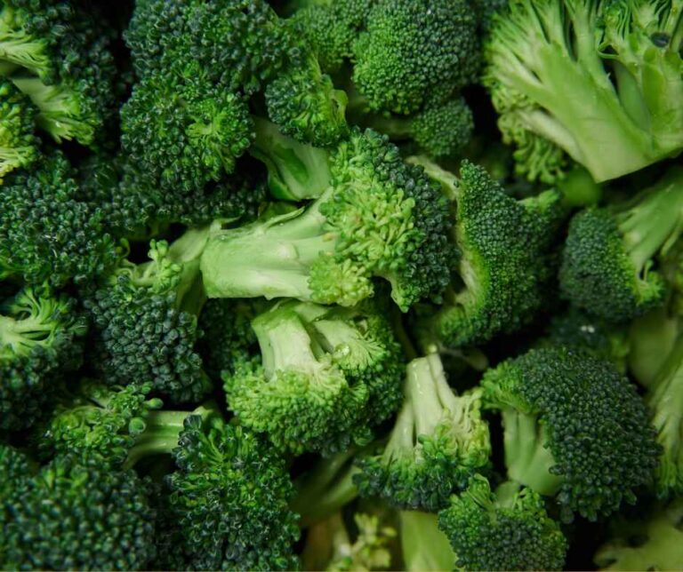 Is Broccoli Man Made? Origins, History & How It Was Created
