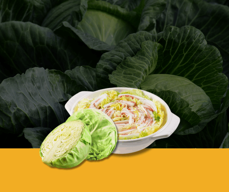 Is Cabbage Good for Weight Loss? Benefits, Diet Tips, and Recipes