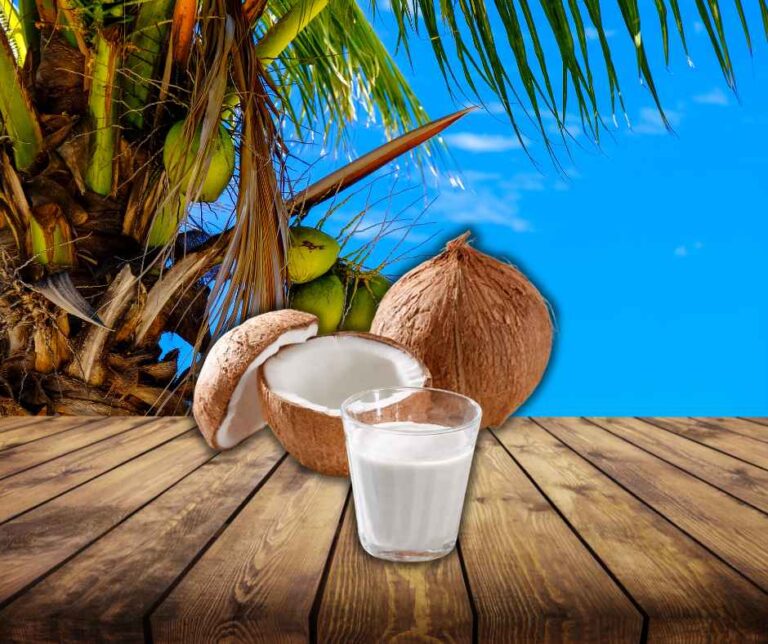 What Is Coconut Water? A Complete Beginner’s Guide