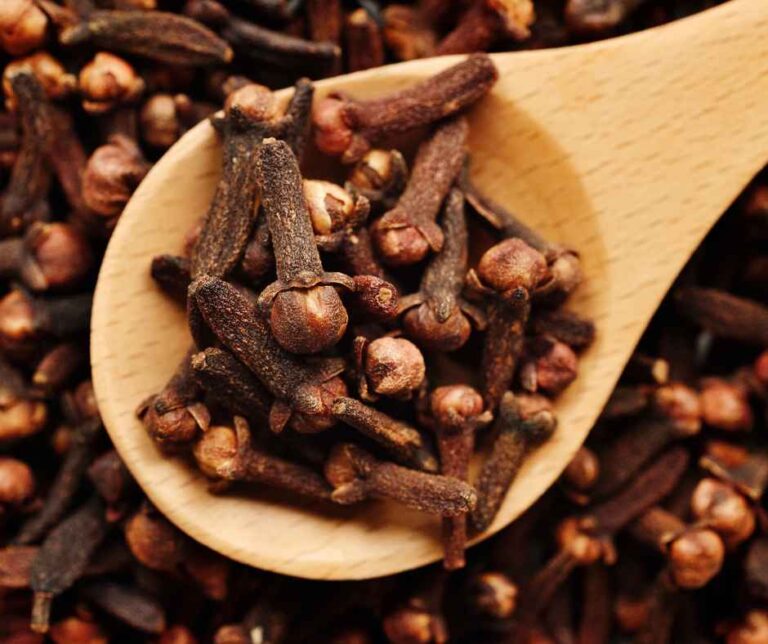 Benefits of Cloves: A Powerful Spice for Health, Hair, and Wellness