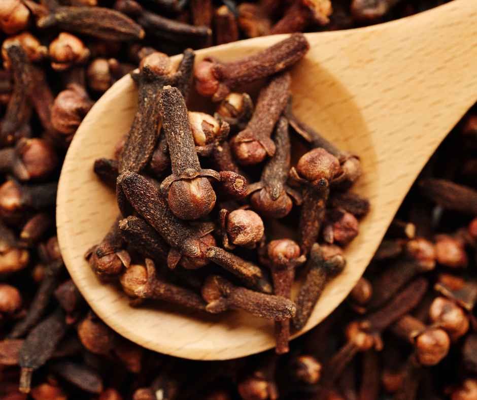 Benefits of Cloves