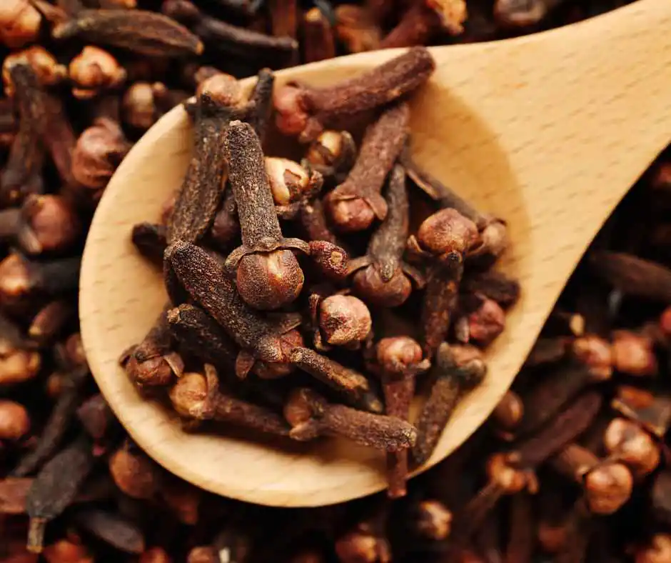 Benefits of Cloves