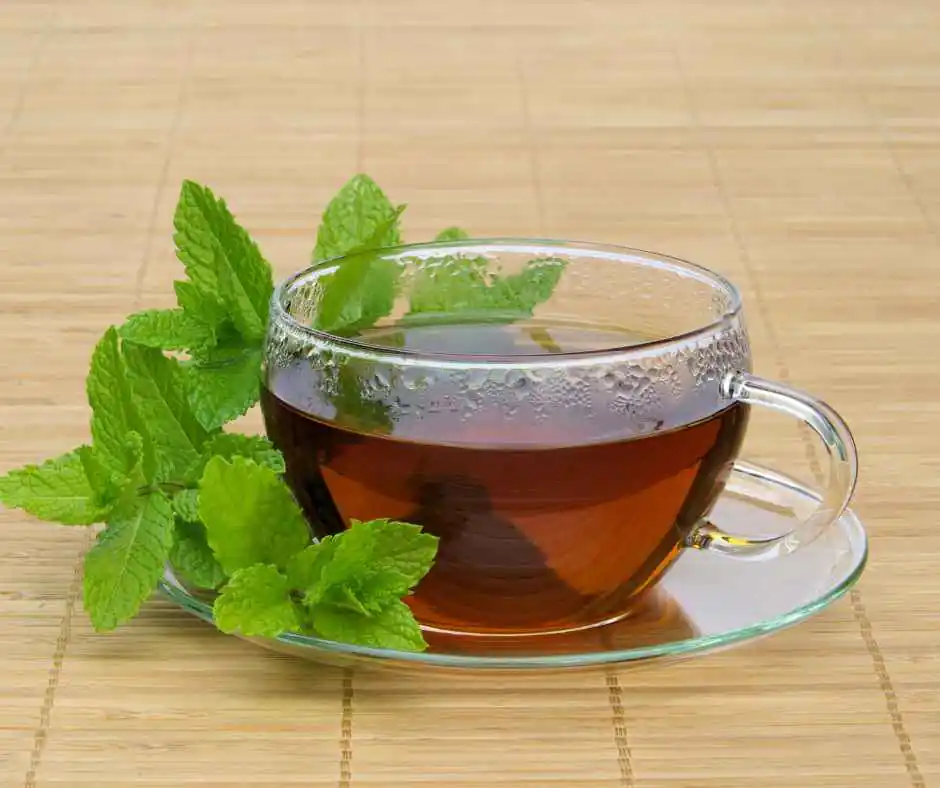 Benefits of Peppermint Tea